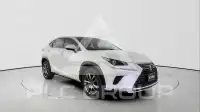 2021 Lexus NX300