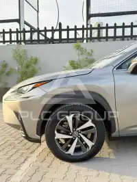 2021 Lexus NX300