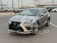 2021 Lexus NX300