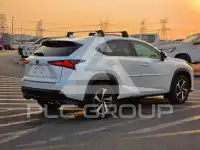 2021 Lexus NX300