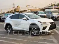 2021 Lexus NX300
