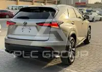2021 Lexus NX300