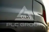 2022 Infinity Qx55 Luxe