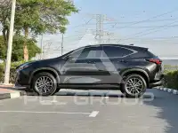 2022 Lexus NX250