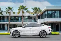 2023 BMW X6