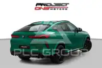 2023 BMW X6