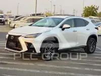 2023 Lexus NX
