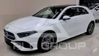 2023 Mercedes Benz A250