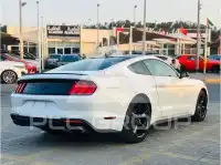 2023 Ford MUSTANG