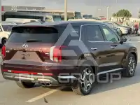 2023 Hyundai Palisade
