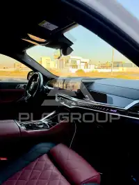 2024 BMW X6