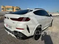 2024 BMW X6