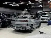 2024 BMW X6