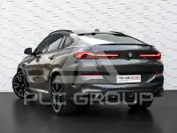 2024 BMW X6