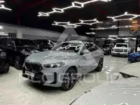 2024 BMW X6