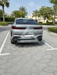 2024 BMW X6