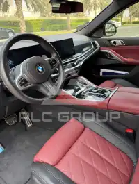 2024 BMW X6