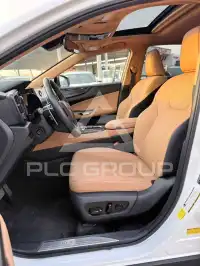 2024 Lexus NX250