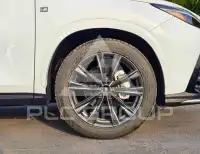 2024 Lexus NX250