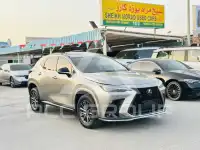 2024 Lexus NX250