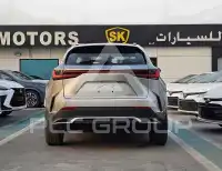 2024 Lexus NX250