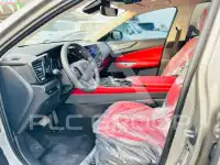 2024 Lexus NX250