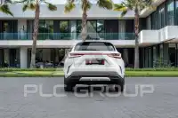 2024 Lexus NX250
