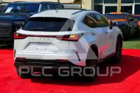 2024 Lexus NX250