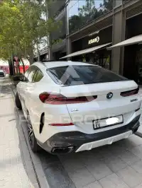 2025 BMW X6