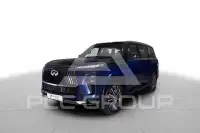2025 Infinity QX80