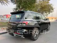 2025 Infinity QX80