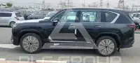 2025 Lexus LX700h