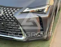 2025 Lexus UX