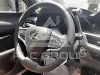 2025 Lexus UX