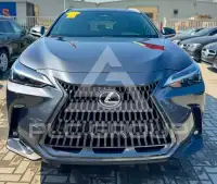 2025 Lexus NX