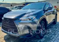 2025 Lexus NX