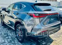 2025 Lexus 
