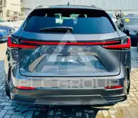 2025 Lexus 