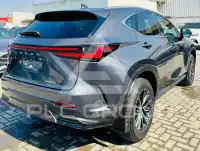 2025 Lexus NX