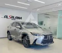 2025 Lexus NX