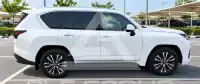 2025 Lexus LX600