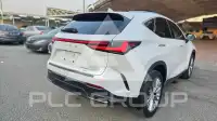 2025 Lexus NX250