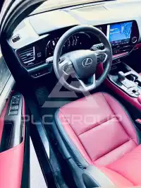 2025 Lexus NX250