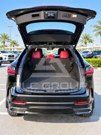 2025 Lexus NX250