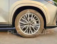 2025 Lexus NX250