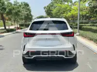 2025 Lexus NX250