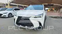 2025 Lexus NX250