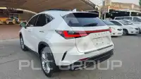 2025 Lexus NX250