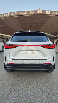 2025 Lexus NX250