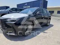 2025 Lexus NX250